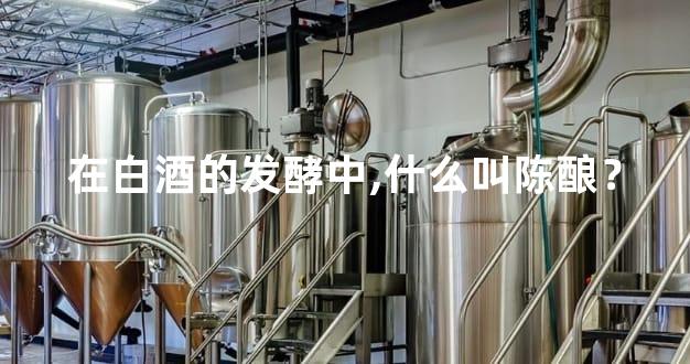 在白酒的发酵中,什么叫陈酿？