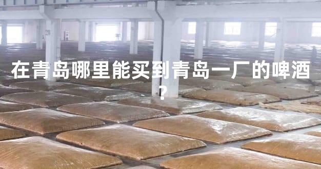 在青岛哪里能买到青岛一厂的啤酒？