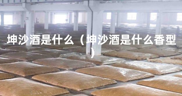 坤沙酒是什么（坤沙酒是什么香型）