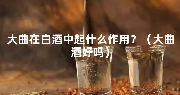 大曲在白酒中起什么作用？（大曲酒好吗）