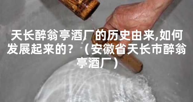 天长醉翁亭酒厂的历史由来,如何发展起来的？（安徽省天长市醉翁亭酒厂）