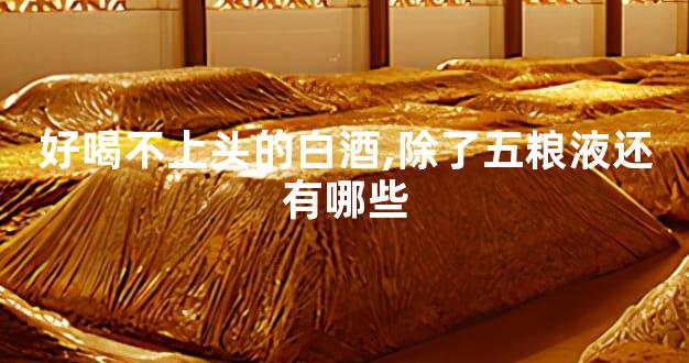 好喝不上头的白酒,除了五粮液还有哪些