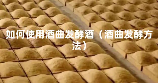 如何使用酒曲发酵酒（酒曲发酵方法）