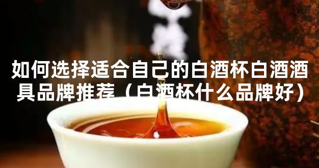 如何选择适合自己的白酒杯白酒酒具品牌推荐（白酒杯什么品牌好）