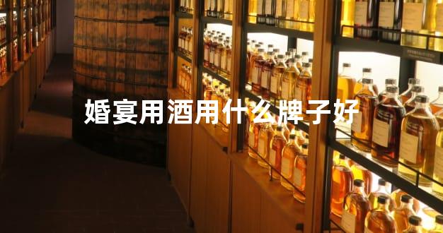 婚宴用酒用什么牌子好