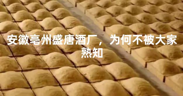 安徽亳州盛唐酒厂，为何不被大家熟知