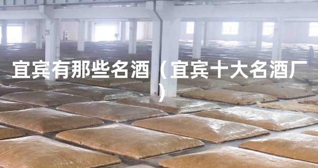 宜宾有那些名酒（宜宾十大名酒厂）