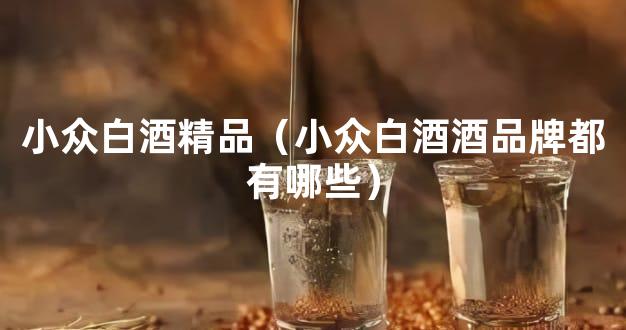 小众白酒精品（小众白酒酒品牌都有哪些）