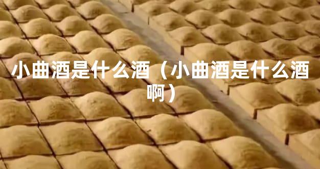 小曲酒是什么酒（小曲酒是什么酒啊）
