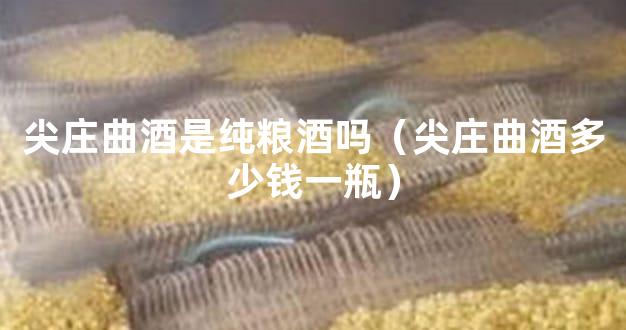 尖庄曲酒是纯粮酒吗（尖庄曲酒多少钱一瓶）