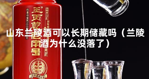 山东兰陵酒可以长期储藏吗（兰陵酒为什么没落了）