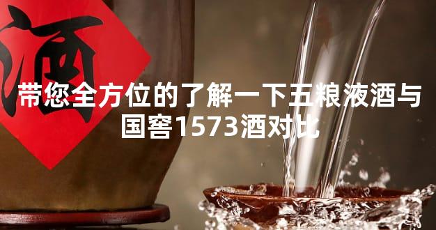 带您全方位的了解一下五粮液酒与国窖1573酒对比