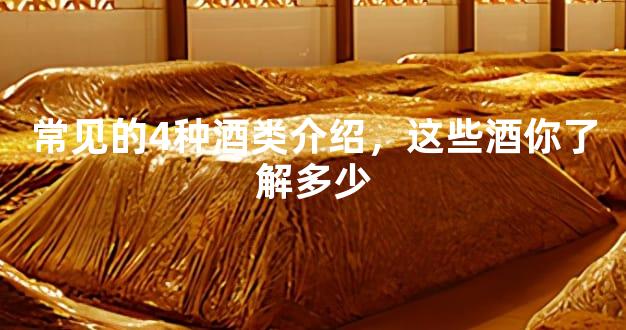 常见的4种酒类介绍，这些酒你了解多少