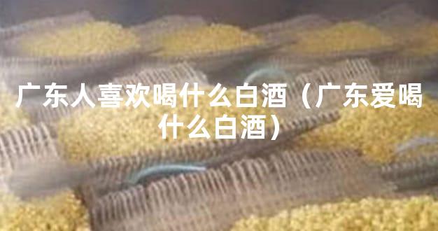 广东人喜欢喝什么白酒（广东爱喝什么白酒）