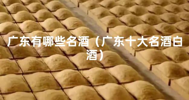 广东有哪些名酒（广东十大名酒白酒）