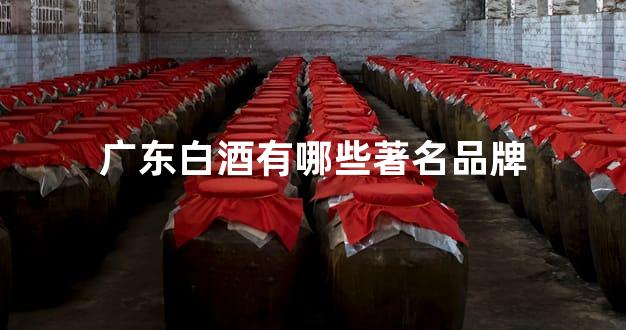 广东白酒有哪些著名品牌