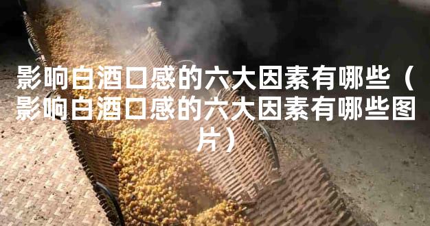 影响白酒口感的六大因素有哪些（影响白酒口感的六大因素有哪些图片）