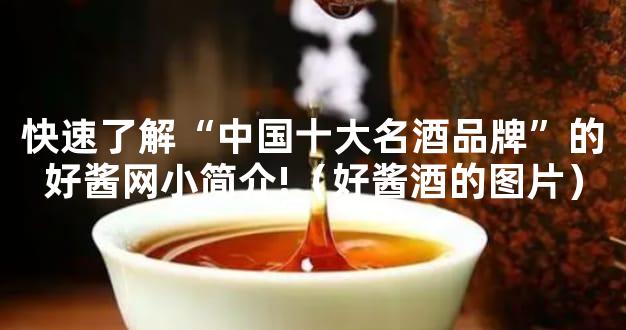 快速了解“中国十大名酒品牌”的好酱网小简介!（好酱酒的图片）