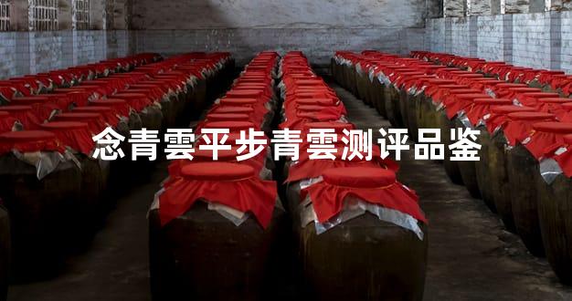 念青雲平步青雲测评品鉴