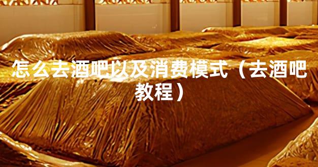 怎么去酒吧以及消费模式（去酒吧教程）