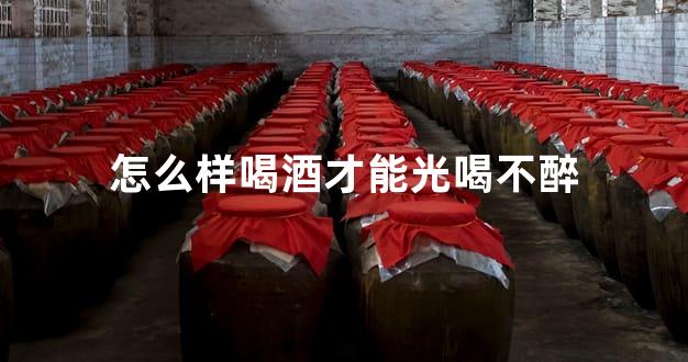 怎么样喝酒才能光喝不醉