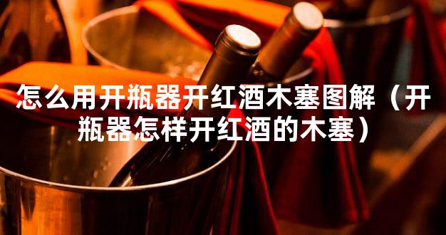 怎么用开瓶器开红酒木塞图解（开瓶器怎样开红酒的木塞）