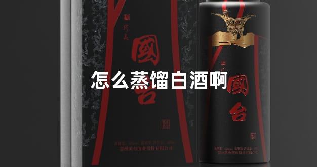 怎么蒸馏白酒啊