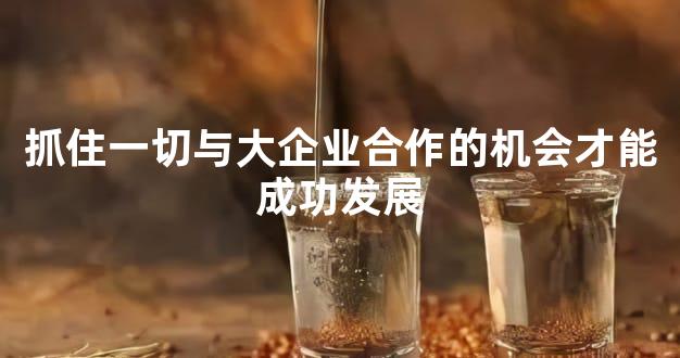 抓住一切与大企业合作的机会才能成功发展