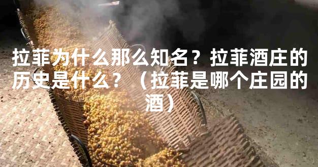 拉菲为什么那么知名？拉菲酒庄的历史是什么？（拉菲是哪个庄园的酒）