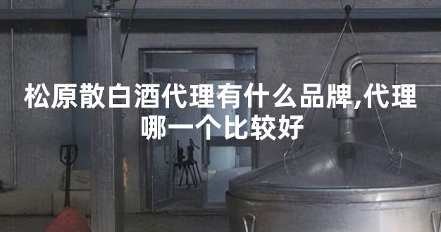 松原散白酒代理有什么品牌,代理哪一个比较好
