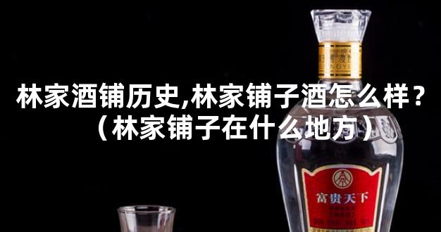 林家酒铺历史,林家铺子酒怎么样？（林家铺子在什么地方）