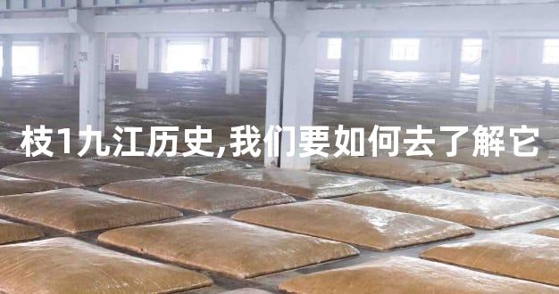 枝1九江历史,我们要如何去了解它