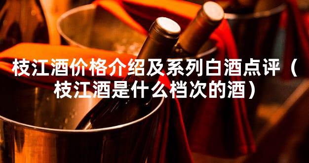 枝江酒价格介绍及系列白酒点评（枝江酒是什么档次的酒）
