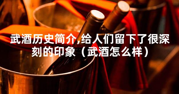 武酒历史简介,给人们留下了很深刻的印象（武酒怎么样）