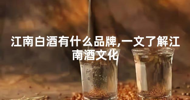 江南白酒有什么品牌,一文了解江南酒文化