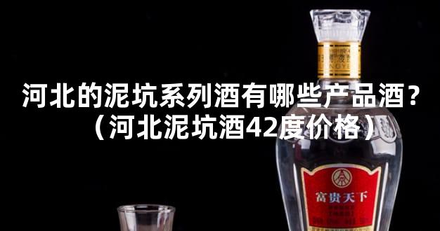 河北的泥坑系列酒有哪些产品酒？（河北泥坑酒42度价格）
