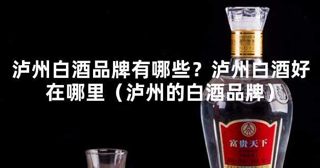 泸州白酒品牌有哪些？泸州白酒好在哪里（泸州的白酒品牌）