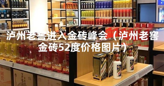 泸州老窖进入金砖峰会（泸州老窖金砖52度价格图片）