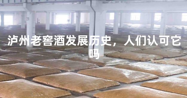 泸州老窖酒发展历史，人们认可它吗