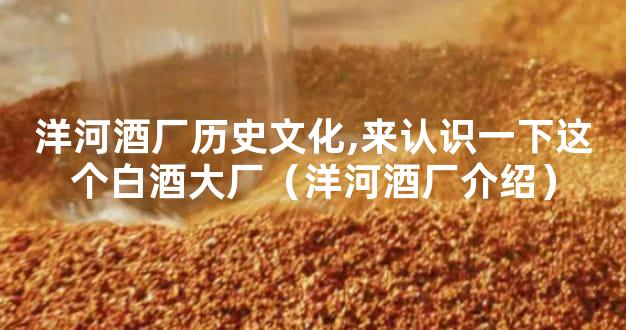 洋河酒厂历史文化,来认识一下这个白酒大厂（洋河酒厂介绍）