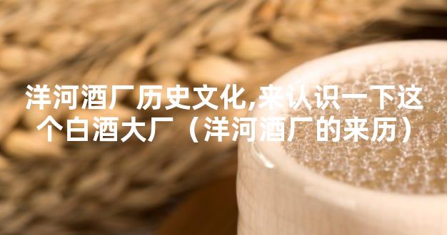 洋河酒厂历史文化,来认识一下这个白酒大厂（洋河酒厂的来历）