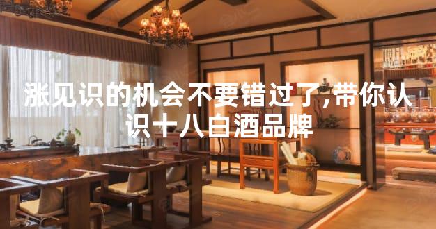 涨见识的机会不要错过了,带你认识十八白酒品牌