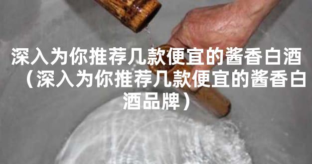 深入为你推荐几款便宜的酱香白酒（深入为你推荐几款便宜的酱香白酒品牌）