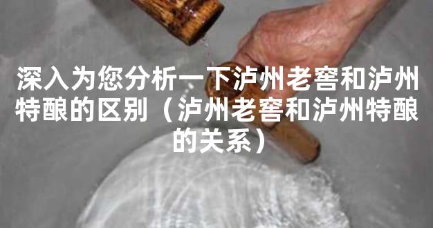 深入为您分析一下泸州老窖和泸州特酿的区别（泸州老窖和泸州特酿的关系）
