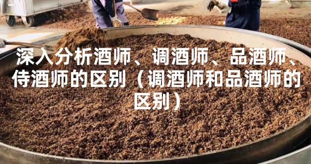 深入分析酒师、调酒师、品酒师、侍酒师的区别（调酒师和品酒师的区别）