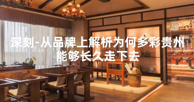 深刻-从品牌上解析为何多彩贵州能够长久走下去
