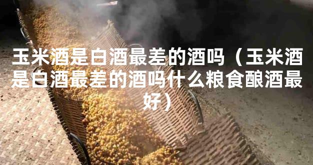 玉米酒是白酒最差的酒吗（玉米酒是白酒最差的酒吗什么粮食酿酒最好）