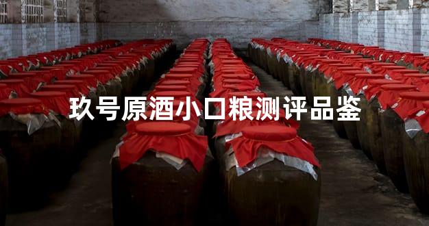 玖号原酒小口粮测评品鉴