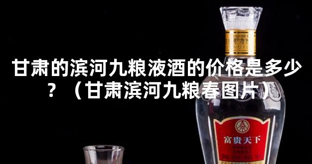 甘肃的滨河九粮液酒的价格是多少？（甘肃滨河九粮春图片）