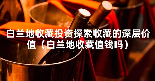 白兰地收藏投资探索收藏的深层价值（白兰地收藏值钱吗）
